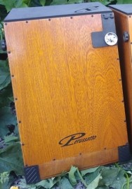 Cajon Acustico em Nogueira