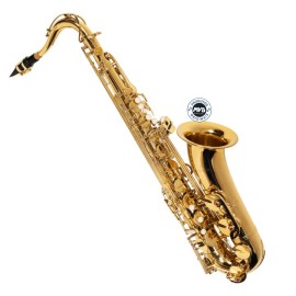 Sax Tenor Sib Laqueado Michael WTSM30N